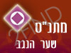 מתנ