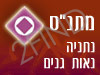 מתנ