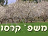 משפחת קרסו מושב שרונה